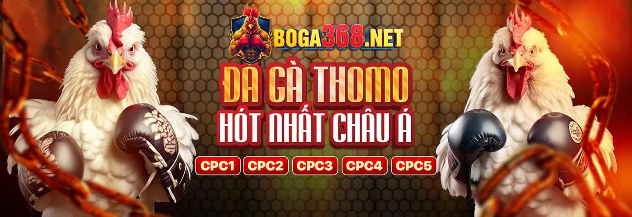 Sân vận động lớn với logo hi888 code, tượng trưng cho cá cược thể thao đỉnh cao